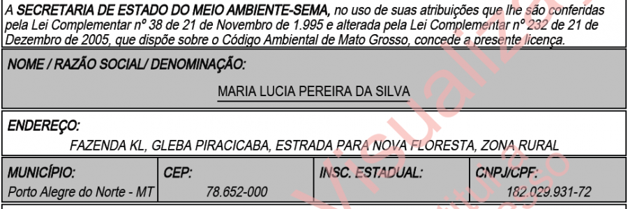 LO – Maria Lucia Pereira da Silva